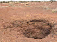 Tjukurlapini Rockhole - our first encounter with gnamma holes